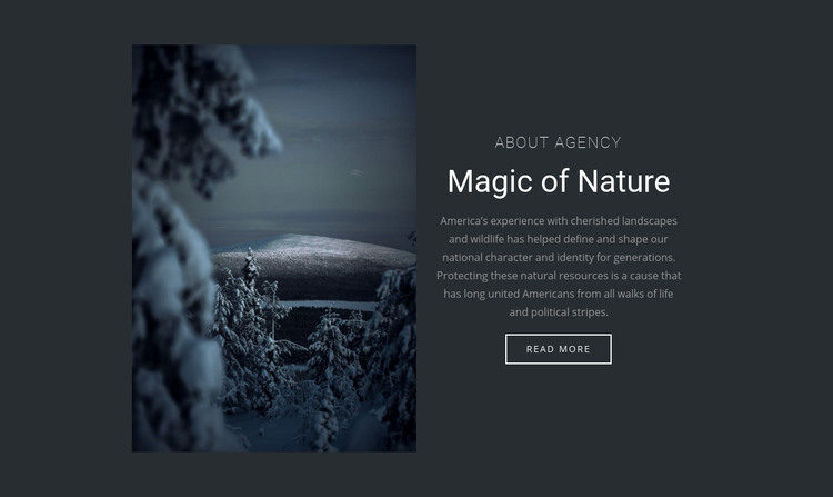 Magic of winter nature Homepage Design