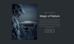 Magic of winter nature - CSS Template by Nicepage
