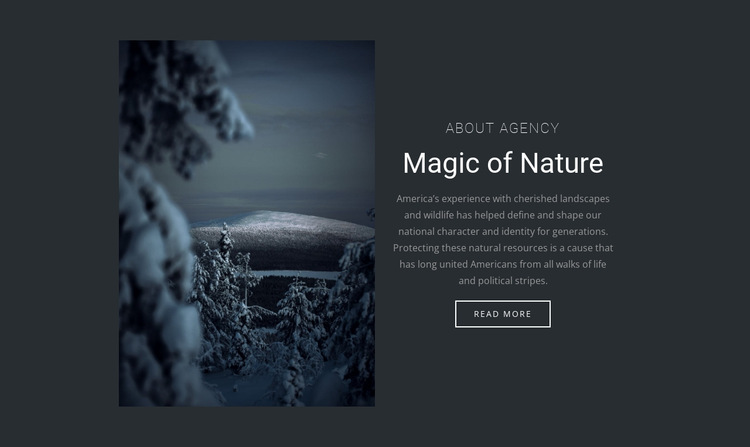 Magic of winter nature HTML5 Template
