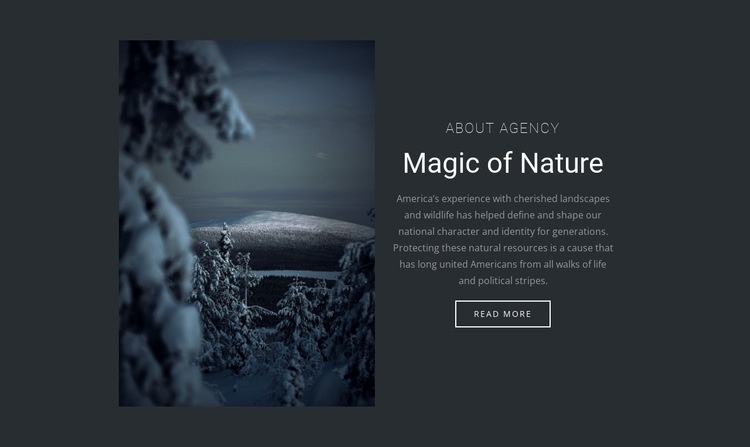 A téli természet varázsa Html Weboldal készítő