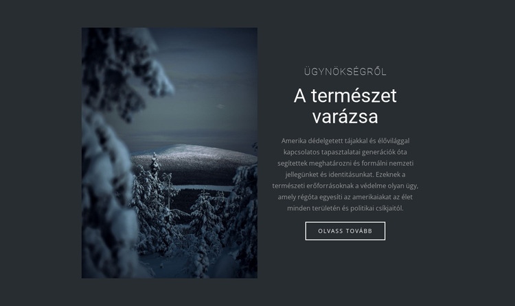 A téli természet varázsa HTML Sablon