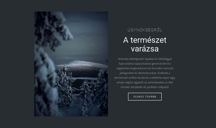 A téli természet varázsa Weboldal sablon