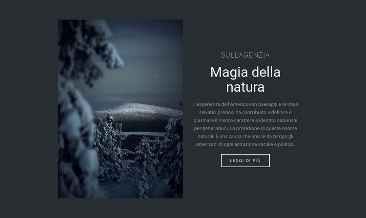 Magia della natura invernale Modelli di Website Builder