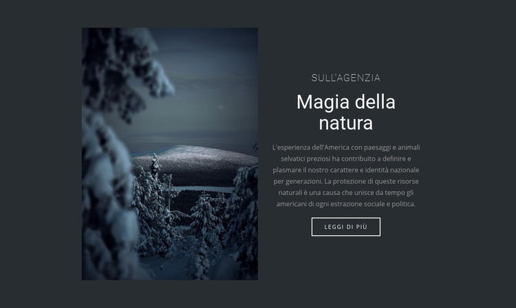 Magia della natura invernale Modello HTML