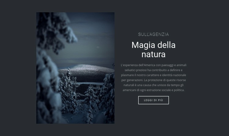 Magia della natura invernale Modello HTML5