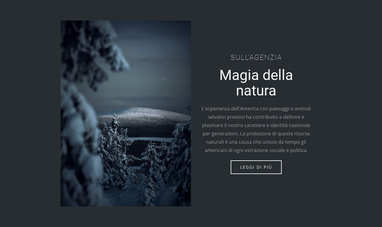 Magia della natura invernale Modello di sito Web