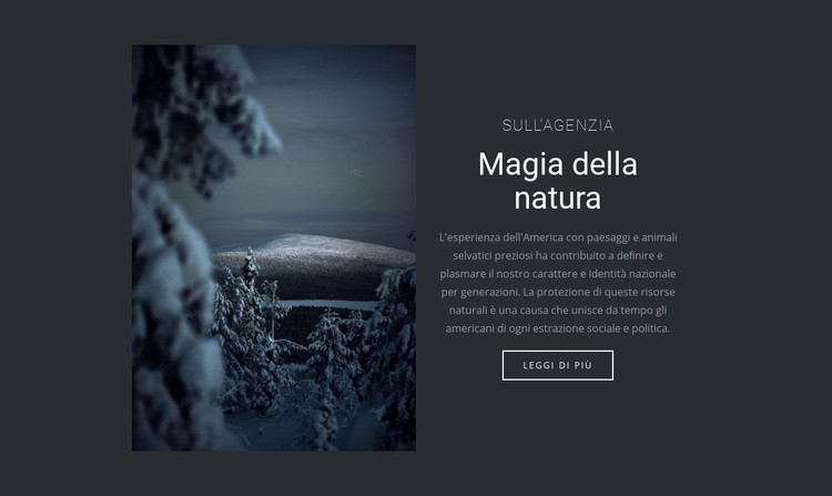Magia della natura invernale Tema WordPress