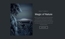 Magic Of Winter Nature - Best Joomla Template
