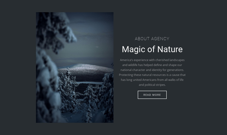 Magic of winter nature Joomla Template