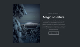 Magic Of Winter Nature One Page Template