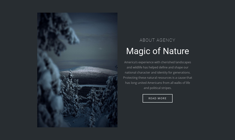 Magic of winter nature One Page Template