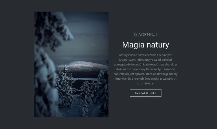 Magia zimowej natury Kreator witryn internetowych HTML