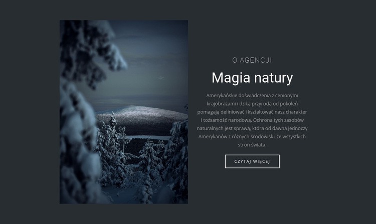 Magia zimowej natury Motyw WordPress