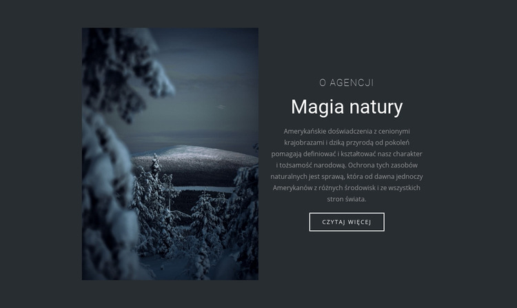Magia zimowej natury Szablon witryny sieci Web