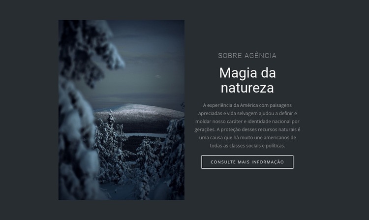 Magia da natureza de inverno Maquete do site