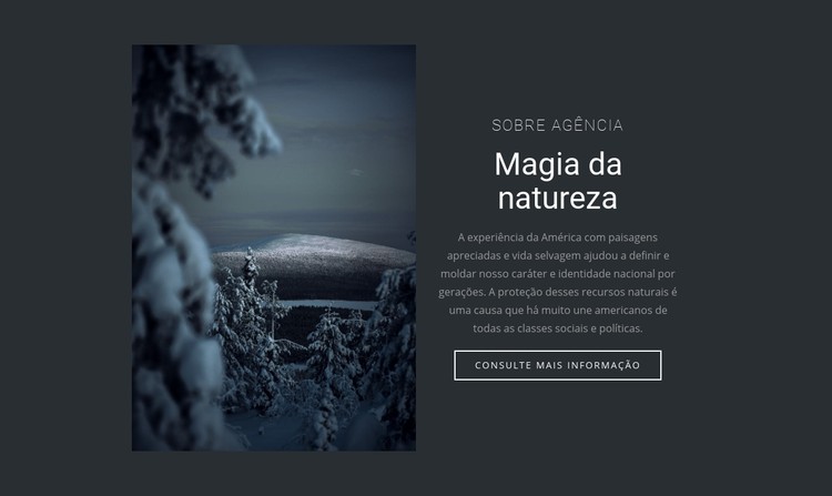 Magia da natureza de inverno Template CSS