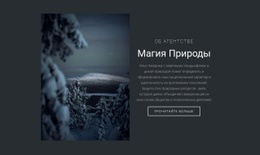 Магия Зимней Природы – Простой Дизайн Сайта
