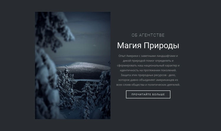 Магия зимней природы Шаблоны конструктора веб-сайтов