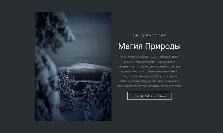 Магия зимней природы Мокап веб-сайта