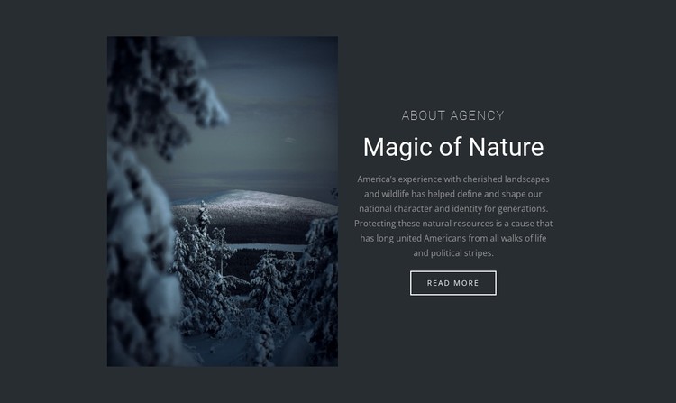 Magic of winter nature Static Site Generator