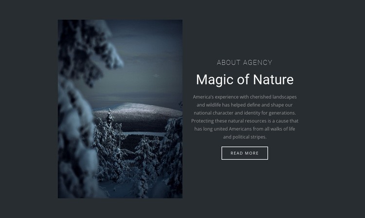 Magin i vinterns natur Html webbplatsbyggare