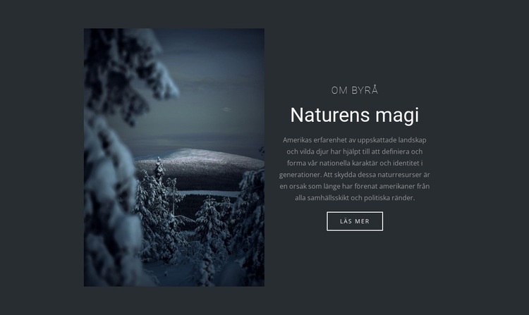 Magin i vinterns natur Hemsidedesign