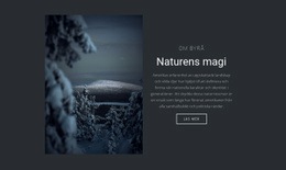 Magin I Vinterns Natur - Webbplatsmall