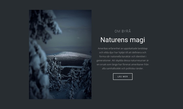 Magin i vinterns natur HTML-mall