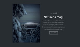 Magin I Vinterns Natur