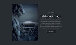Magin I Vinterns Natur - Webbplatsdesign