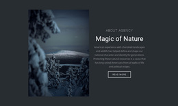 Magic Of Winter Nature - Website Design