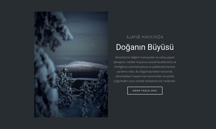 Kış doğasının büyüsü Html Web Sitesi Oluşturucu