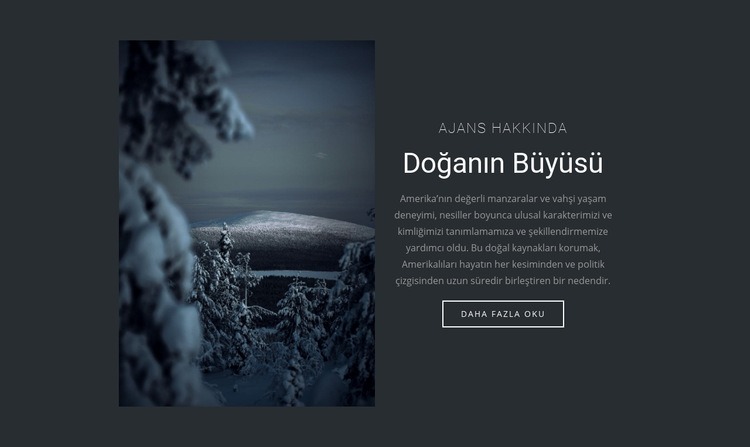 Kış doğasının büyüsü HTML5 Şablonu