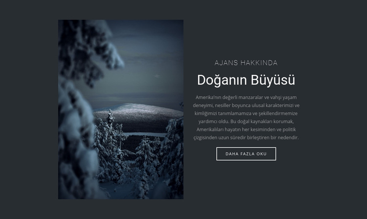Kış doğasının büyüsü WordPress Teması