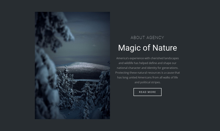 Magic of winter nature Web Design