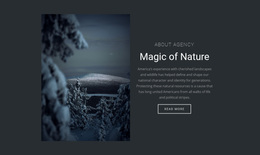 Awesome Web Page Design For Magic Of Winter Nature