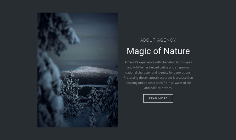 Magic of winter nature Website Mockup