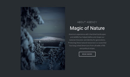 Magic Of Winter Nature WordPress Theme