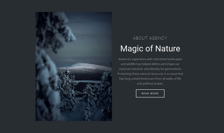 Magie van de winteraard WordPress-thema