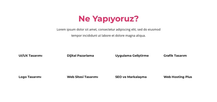 Ürün odaklı büyüme elde etmenize yardımcı oluyoruz CSS Şablonu