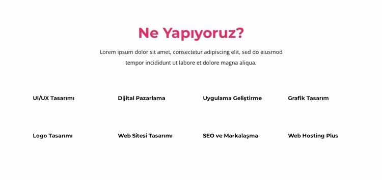 Ürün odaklı büyüme elde etmenize yardımcı oluyoruz Html Web Sitesi Oluşturucu