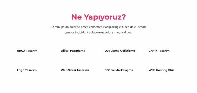 Ürün odaklı büyüme elde etmenize yardımcı oluyoruz Web Sitesi Mockup'ı