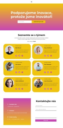 Ideální Vůdce – Jednoduchá Šablona Webu