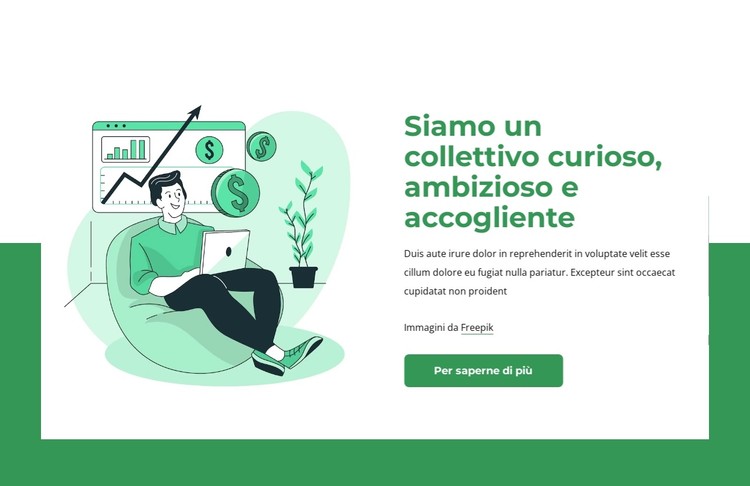 Siamo un collettivo curioso Modello CSS