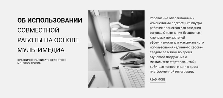 Все под нашим контролем WordPress тема