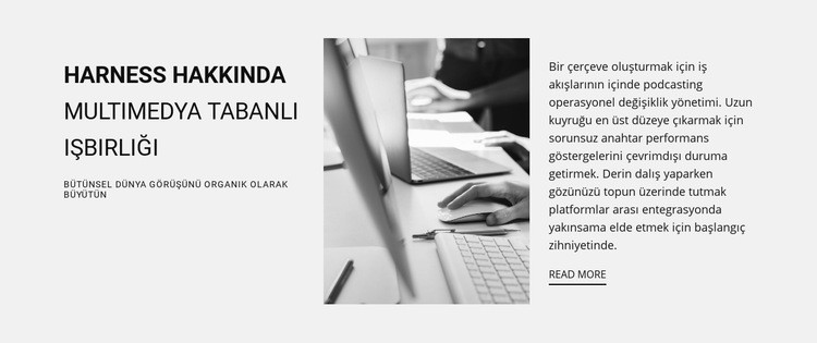 Her şey bizim kontrolümüz altında WordPress Teması