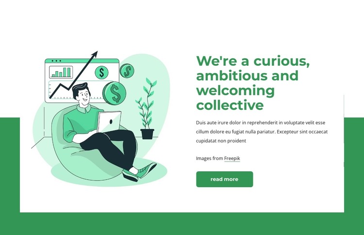 We are curious collective Web Design