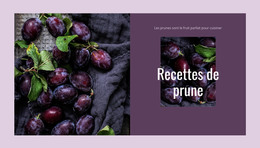 Recettes De Prune – Mise En Page HTML Du Site Web