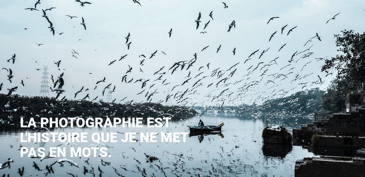 La photographie est l'histoire Thème WordPress