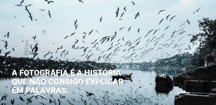 A fotografia é a história Maquete do site